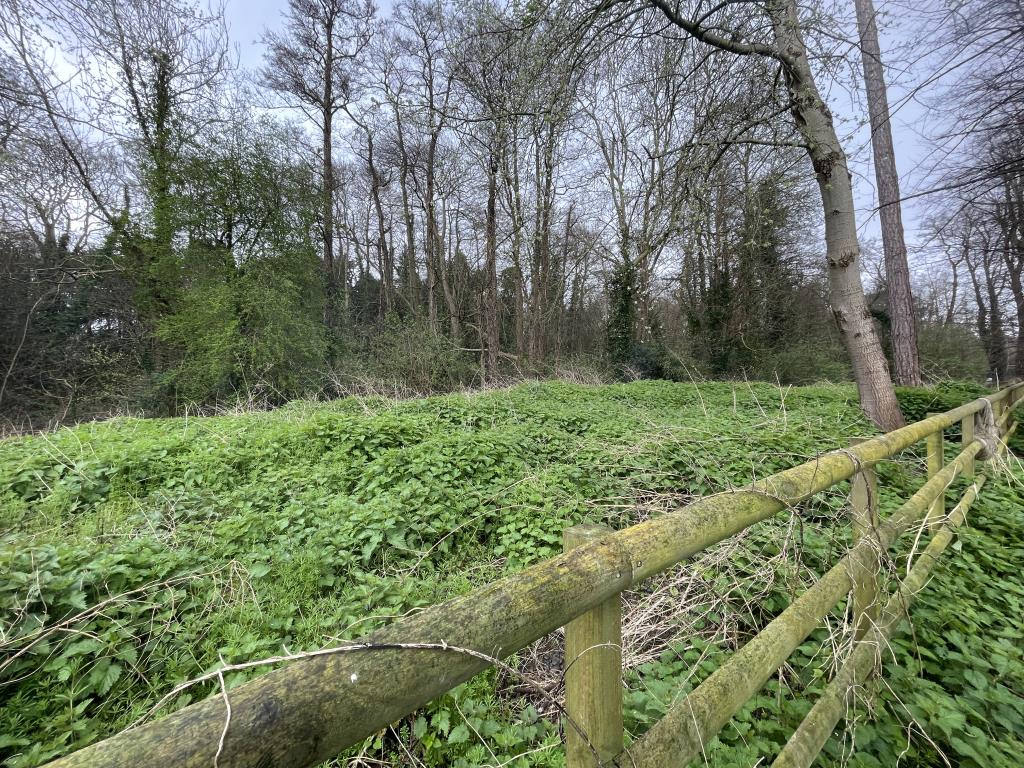 Lot: 78 - WOODLAND EXTENDING TO 3.56 ACRES - Outside view of middle of land facing south, with western fence boundary